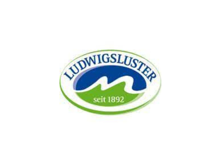 Ludwigsluster