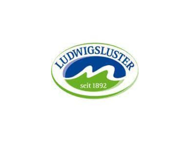 Ludwigsluster Ludwigsluster